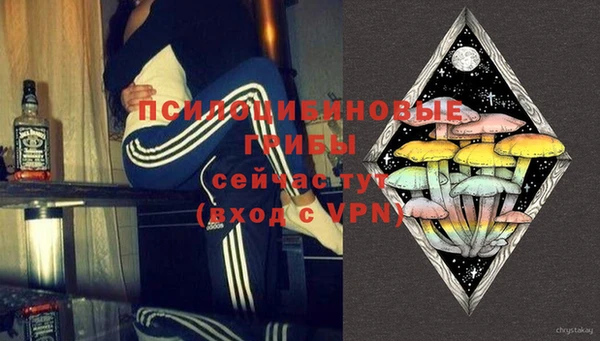 ГАЛЛЮЦИНОГЕННЫЕ ГРИБЫ Армянск