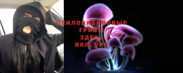 тгк Аркадак
