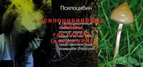 мяу мяу мука Арсеньев