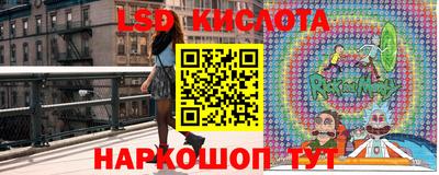 крисы Ирбит