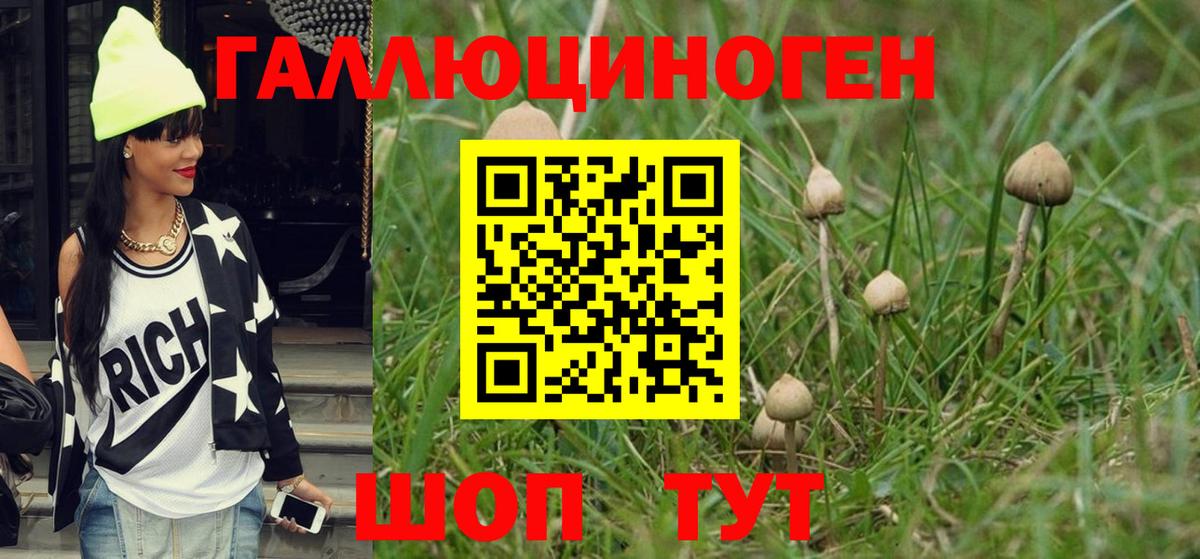 Псилоцибиновые грибы MAGIC MUSHROOMS  Галлюциногенные грибы Magic Shrooms  Вход с VPN  Коломна 