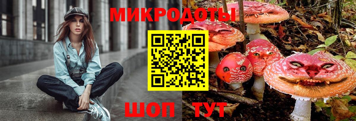 Псилоцибиновые грибы Cubensis Коломна